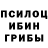 Галлюциногенные грибы Cubensis Destroyer Ept